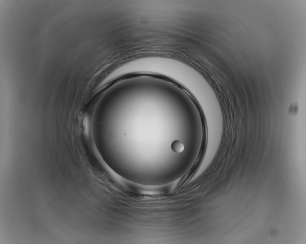 X0000097870556200803141300
