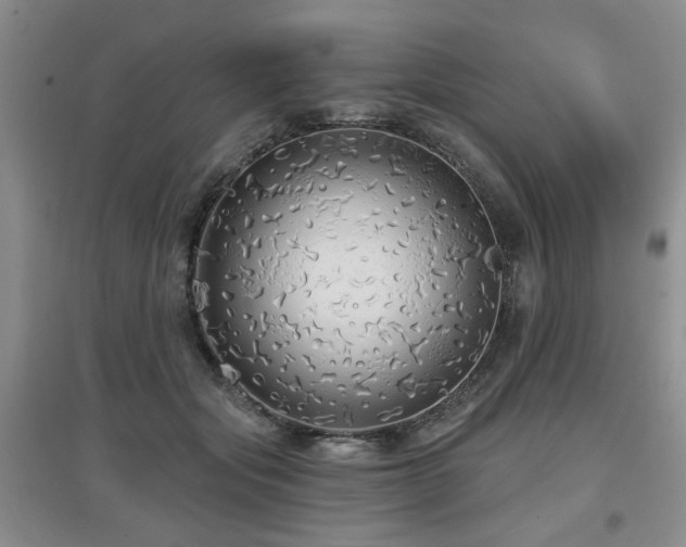 X0000097870557200803141300