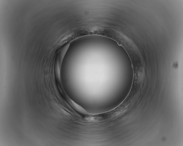 X0000097870558200803141300