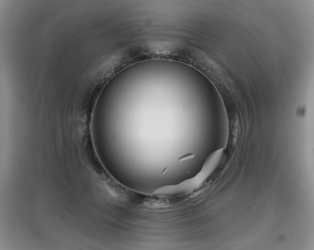 X0000097870559200803141300