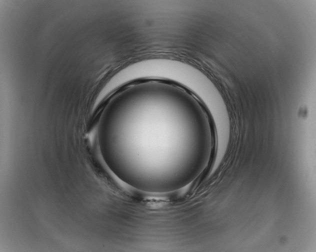 X0000097870560200803141300