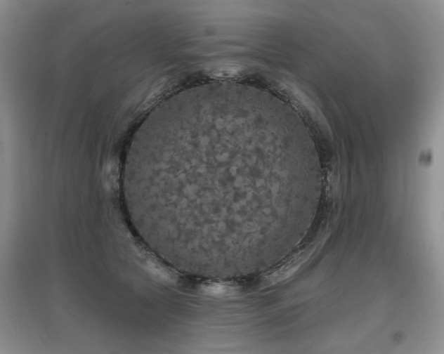 X0000097870561200803141300