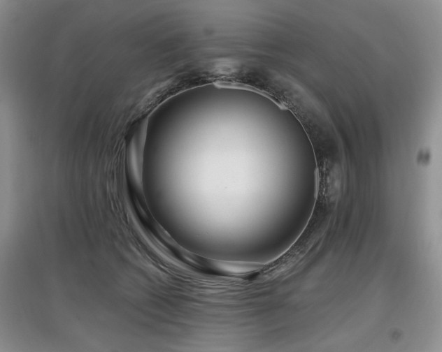 X0000097870562200803141300