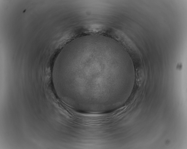 X0000097870563200803141300