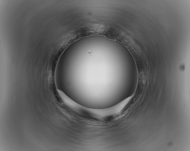 X0000097870564200803141300