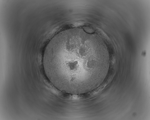 X0000097870565200803141300