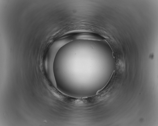 X0000097870566200803141300