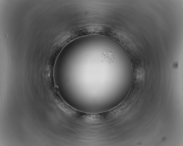 X0000097870567200803141300