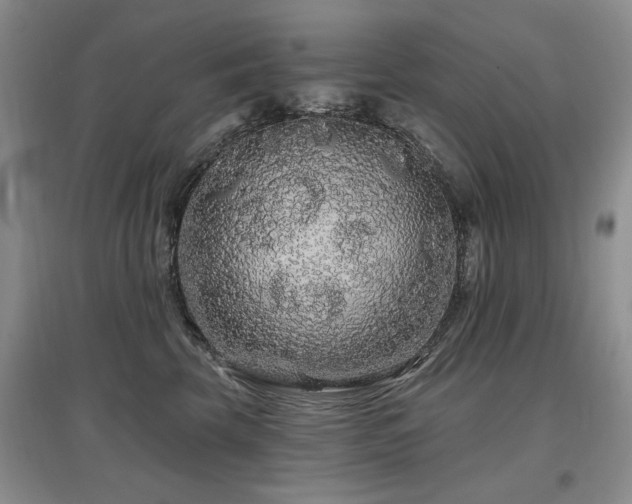 X0000097870569200803141300
