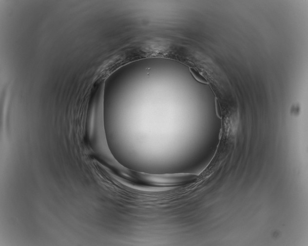 X0000097870570200803141300
