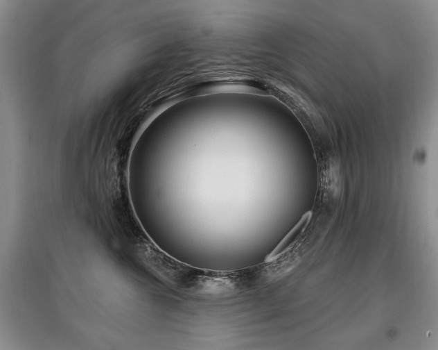 X0000097870572200803141300