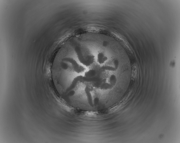 X0000097870573200803141300