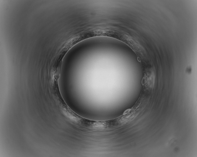 X0000097870574200803141300