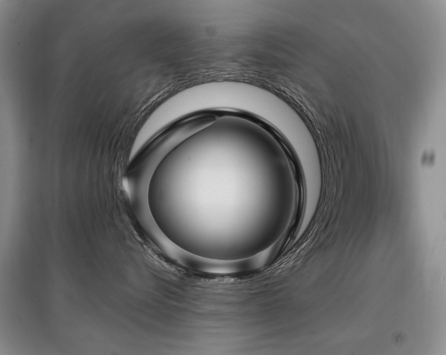 X0000097870576200803141300
