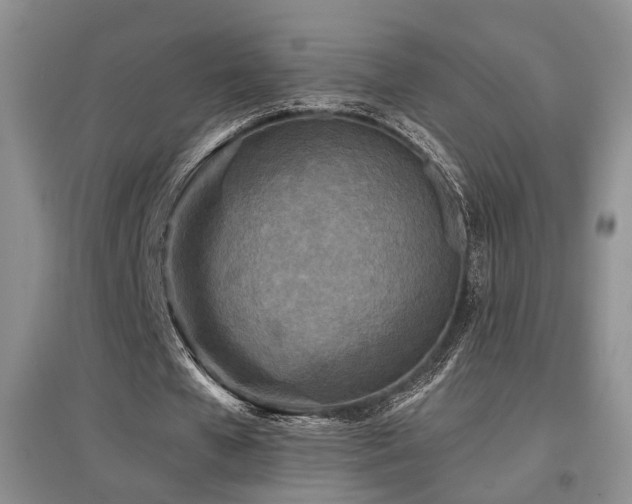 X0000097870577200803141300