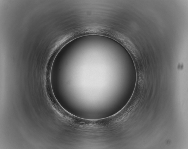 X0000097870578200803141300