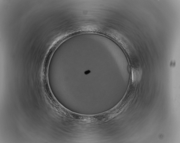 X0000097870579200803141300