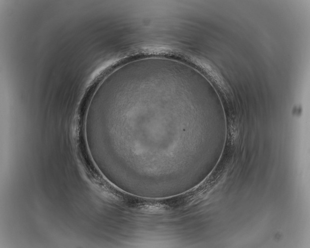 X0000097870583200803141300
