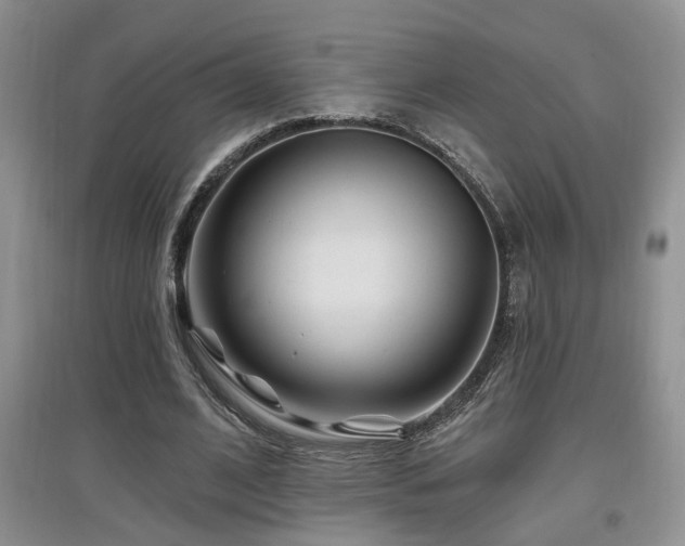 X0000097870584200803141300