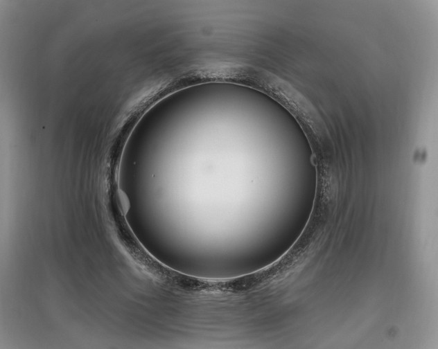 X0000097870586200803141300