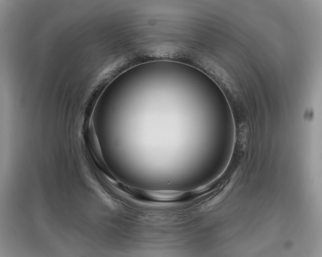 X0000097870589200803141300
