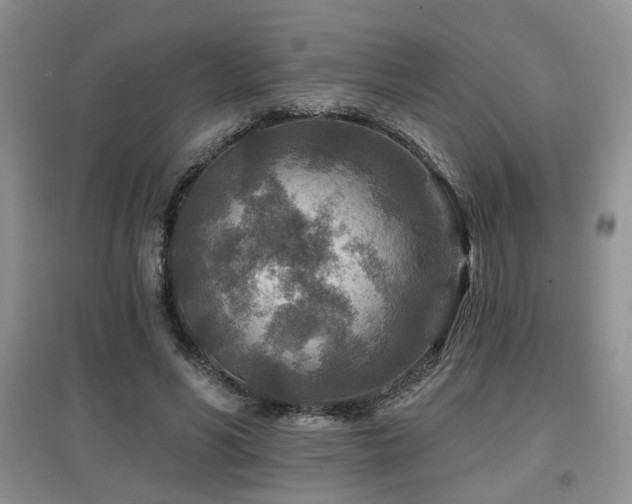 X0000097870590200803141300