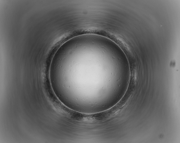 X0000097870591200803141300
