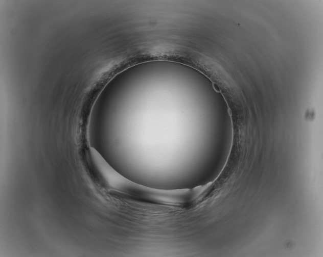 X0000097870592200803141300