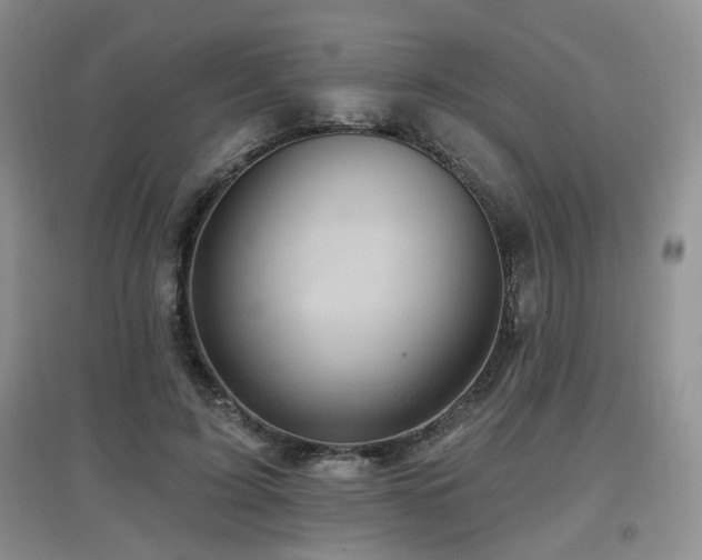 X0000097870595200803141300