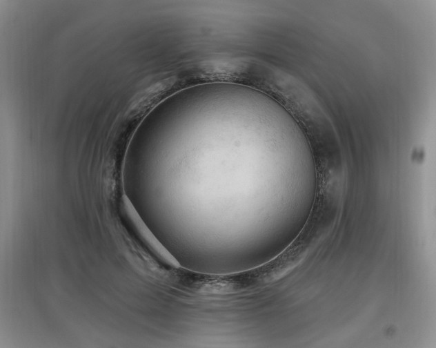 X0000097870599200803141259