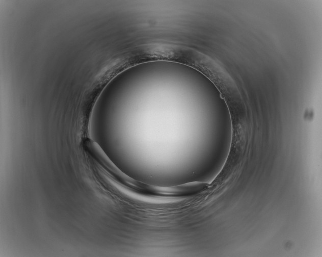 X0000097870600200803141259
