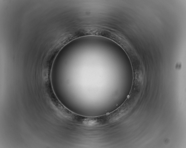 X0000097870602200803141259