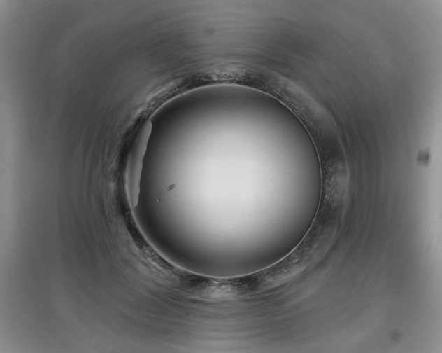 X0000097870604200803141259