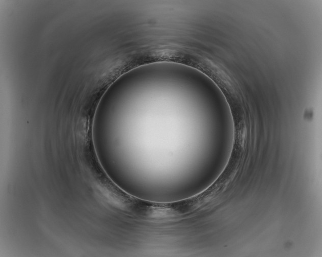X0000097870605200803141259