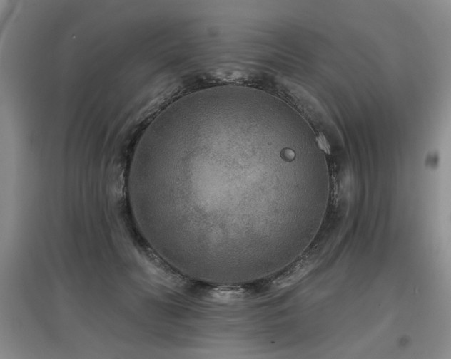 X0000097870606200803141259