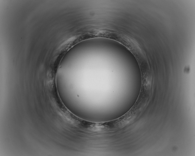 X0000097870607200803141259