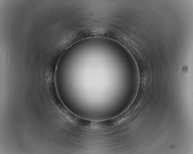 X0000097870608200803141259
