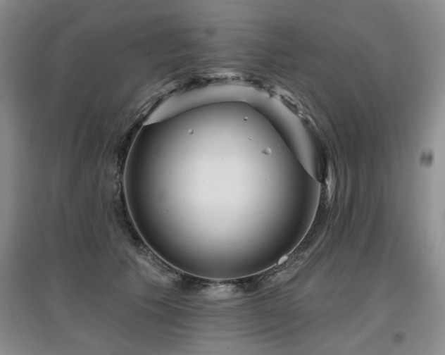 X0000097870609200803141259