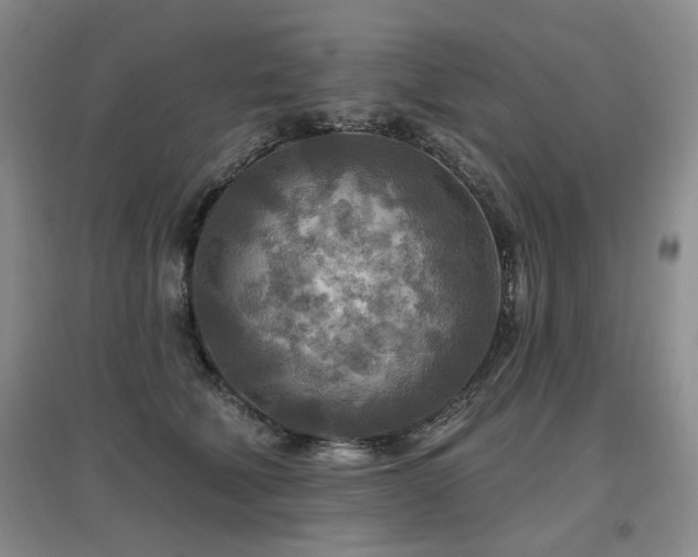 X0000097870610200803141259