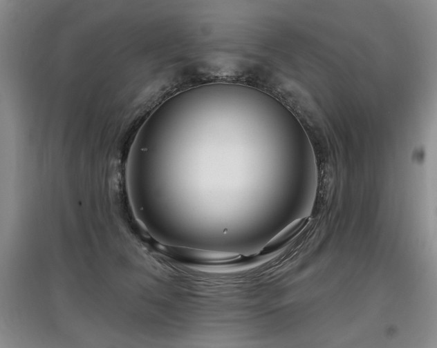 X0000097870612200803141259