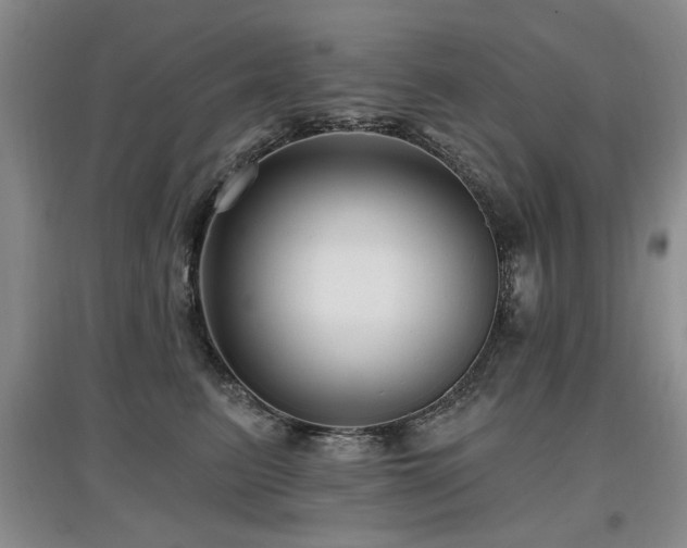 X0000097870615200803141259