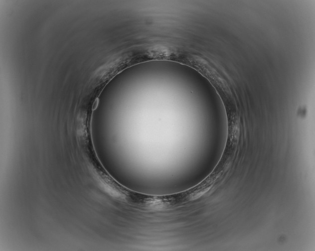 X0000097870616200803141259