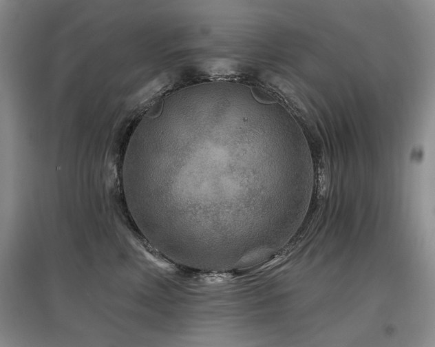 X0000097870618200803141259
