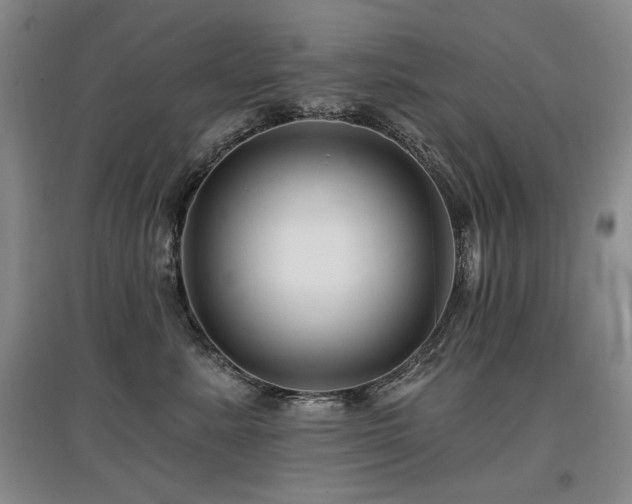X0000097870619200803141259