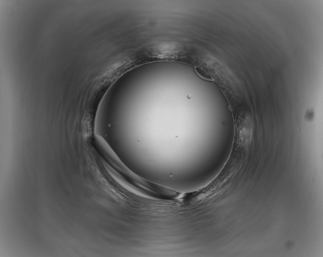 X0000097870620200803141259