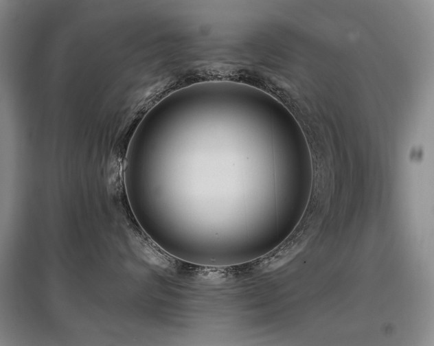 X0000097870624200803141259