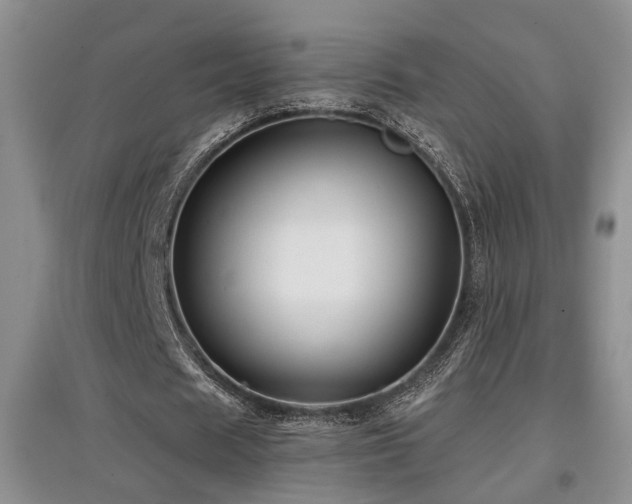 X0000097870625200803141258