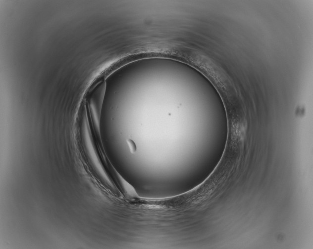 X0000097870628200803141258