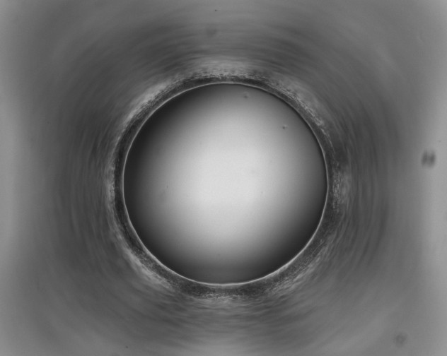 X0000097870629200803141259
