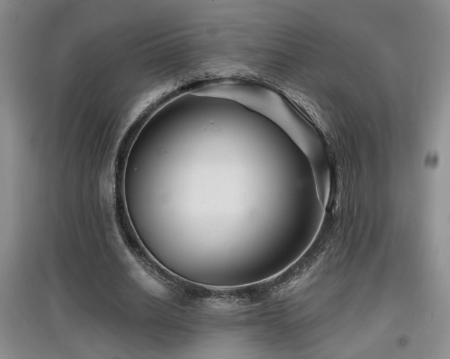 X0000097870630200803141259